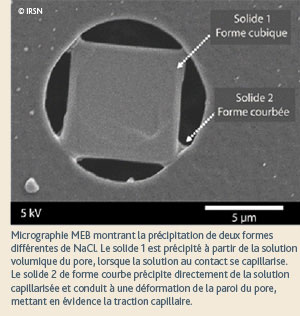 Micrographie MEB montrant la précipitation de deux formes différentes de NaCl.