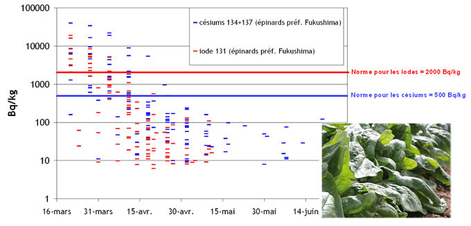 Evolution de la contamination en iode 131 et césiums 134+137 des épinards de la préfecture de Fukushima (données MHLW).