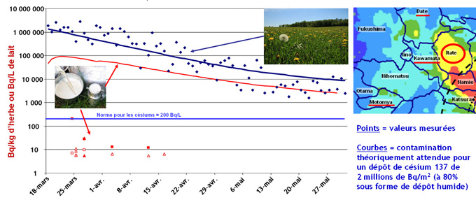 Evolution entre mars et mai 2011 de la contamination en césium 137 et comparaison avec les valeurs attendues
