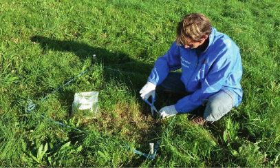 Prélèvement d’herbe réalisé par l’Acro dans le cadre de la surveillance du couvert végétal en France.