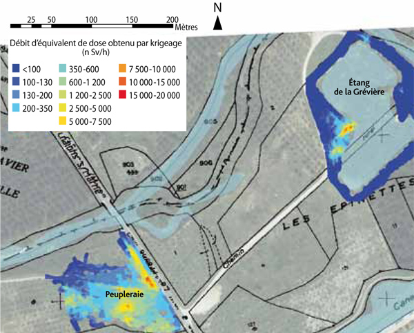 Cartographie du débit de dose mesuré à proximité de l’étang de la Grévière et dans la peupleraie.