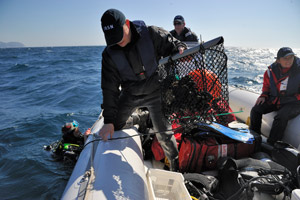 Prélèvement d'une poche de moules en mer - © Laurent Zylberman/IRSN
