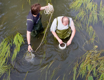 Lionel Foulon (technicien LVRE) et Vincent Malfait (technicien supérieu LVRE) réalisent un prélèvement d'eau, de rejets d'effluents et de sédiment. ©Seignette/Lafontan/IRSN