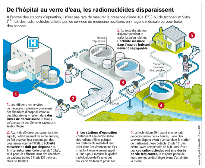 De l'hôpital au verre d'eau : comment les radionucléides disparaissent