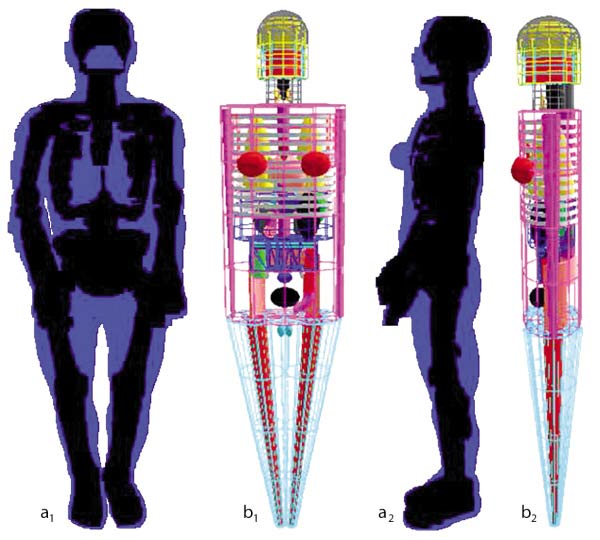 Les fantômes voxelisés (a1 et a2) issus d’images médicales du patient sont plus réalistes et détaillés que les modèles réalisés