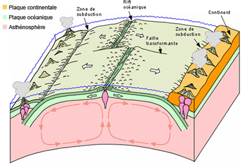 Modèle illustrant la tectonique des plaques lithosphériques se déplaçant au dessus de l’asthénosphère. 