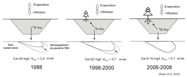 Évolution du flux de strontium dans la tranchée expérimentale