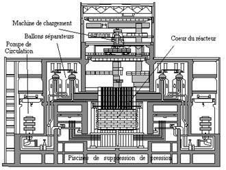 Coupe simplifiée d'un réacteur RBMK de puissance 1000 MWe