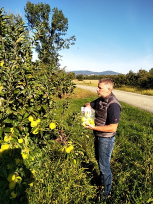 IRSN_Prelevement-Pommes-St-Alban