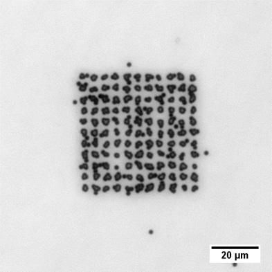 Faisceau de particules alpha de 6 MeV sur détecteur de traces. 10±3 ions par point. Pas : 5x5 µm.