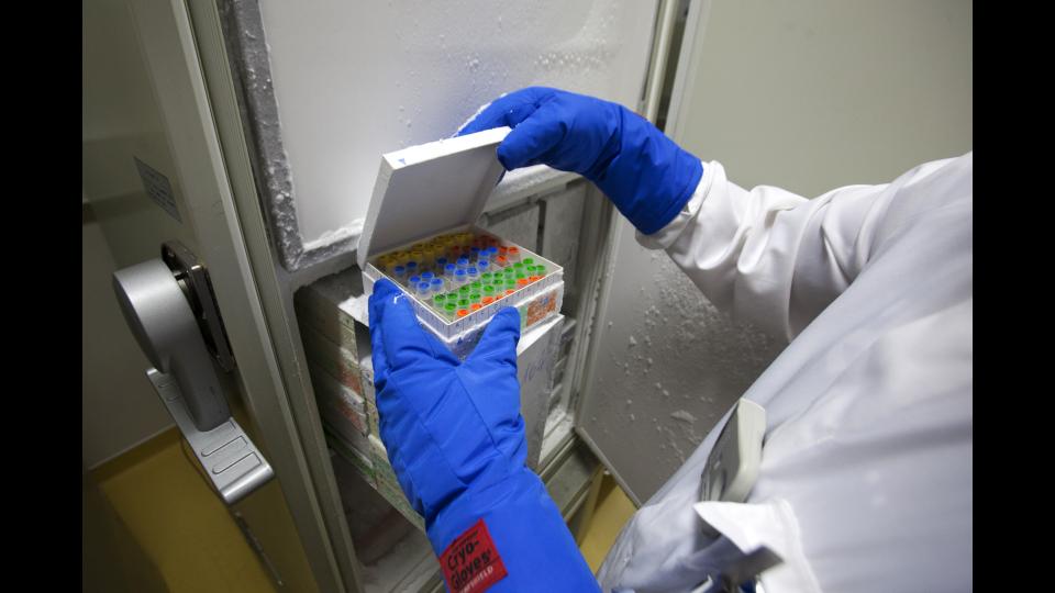 plateforme parisII- congélateurs à - 80 °C échantillons biologiques pendant plusieurs années © Francesco Acerbis/IRSN