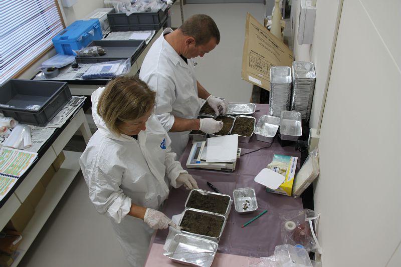 préparation des échantillons à partir des prélèvements effectués sur le littoral et en mer. Lieux : © Médiathèque IRSN